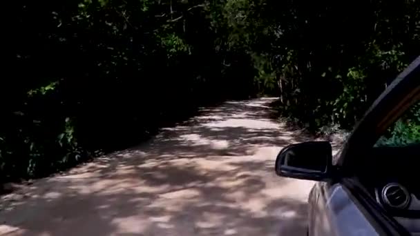 Dirigir Estrada Caminho Cascalho Tulum Selva Natureza Quintana Roo México — Vídeo de Stock