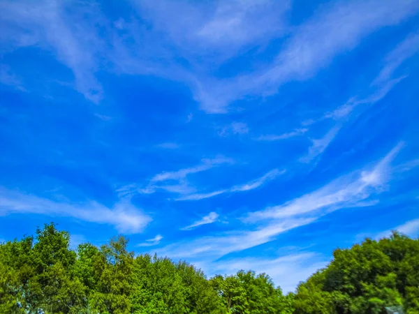 Blauer Himmel Mit Chemiewolken Chemikalienhimmel Und Chemtrails Sonnigen Tag Leherheide — Stockfoto