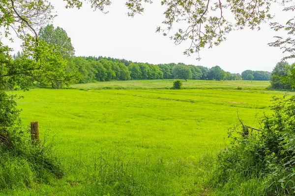Obloha Krásným Přírodním Lesem Panorama Zemědělské Krajiny Dolním Sasku Německo — Stock fotografie