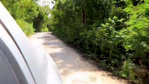 Conduciendo Por Camino Grava Selva Naturaleza Tropical Playa Del Carmen — Vídeo de stock