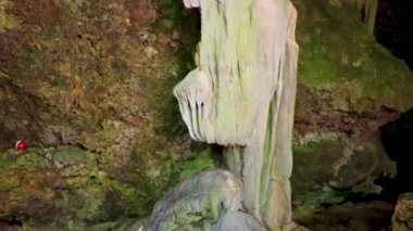 Puerto Aventuras Quintana Roo Mexico 'daki Santuario de los guerreros' taki inanılmaz mavi turkuaz su ve kireçtaşı mağarası çöküntüsü..