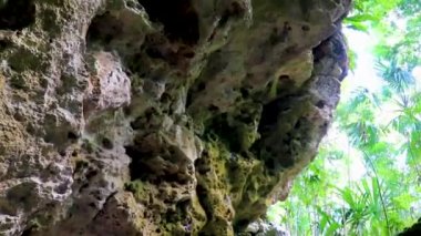 Puerto Aventuras Quintana Roo Mexico 'daki Santuario de los guerreros' taki inanılmaz mavi turkuaz su ve kireçtaşı mağarası çöküntüsü..