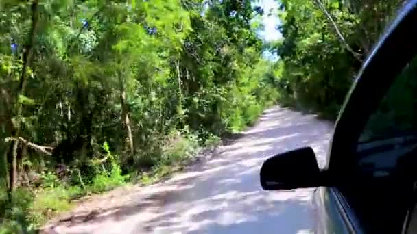 Jazda Żwirowej Drodze Dżungli Tropikalnej Naturze Playa Del Carmen Quintana — Wideo stockowe