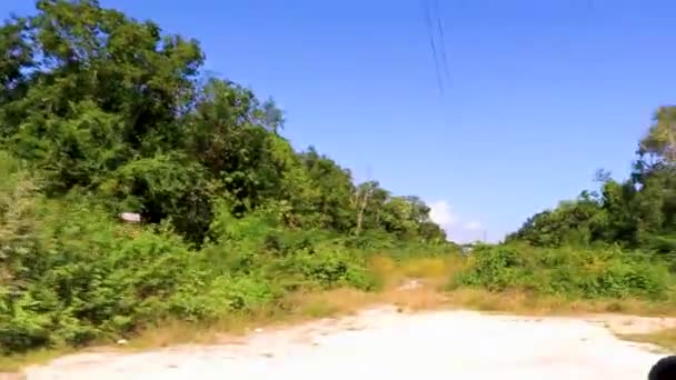 Conduciendo Por Camino Grava Selva Naturaleza Tropical Playa Del Carmen — Vídeo de stock