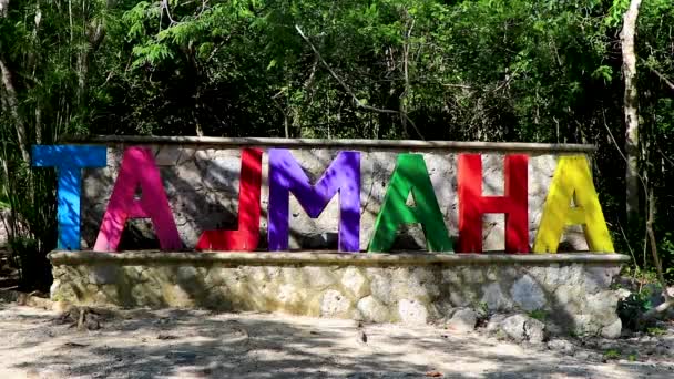 Lettering Font Symbol Statue Cave Sinkhole Cenote Tajma Quinatana Roo — Vídeos de Stock