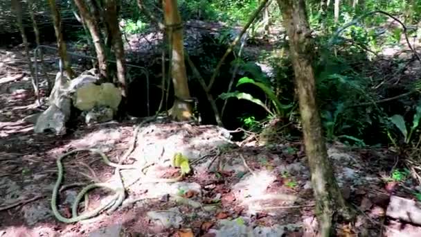 Amazing Blue Turquoise Water Limestone Cave Sinkhole Cenote Tajma Tajmaha — Vídeo de stock