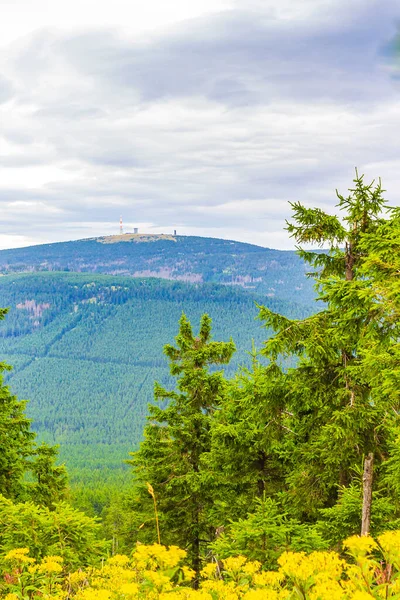 Wurmberg Braunlage Goslar Aşağı Saksonya Almanya 'sından Harz dağlarındaki Brocken Dağı' nın tepesindeki manzara manzarası