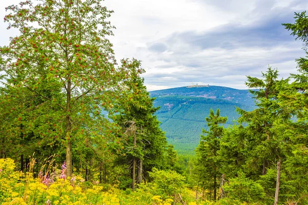 Wurmberg Braunlage Goslar Aşağı Saksonya Almanya 'sından Harz dağlarındaki Brocken Dağı' nın tepesindeki manzara manzarası