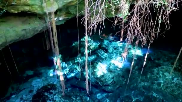 驚くほど青いターコイズブルーの水と石灰岩の洞窟の陥没穴で旅行者と観光ガイドプエルトアベンチュラのTajma Tajmahaキンタナ メキシコ — ストック動画