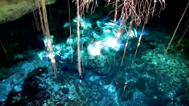 Reisender Und Touristenführer Bei Erstaunlichem Türkisblauem Wasser Und Kalksteinhöhle Cenote — Stockvideo