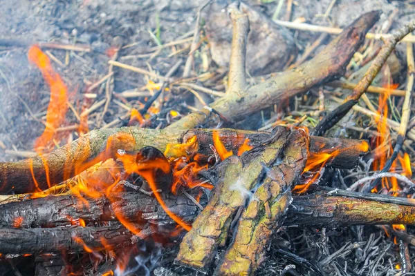 Ognisko Spalanie Drewna Pomarańczowymi Płomieniami Wyspie Harrier Sand Schwanewede Osterholz — Zdjęcie stockowe
