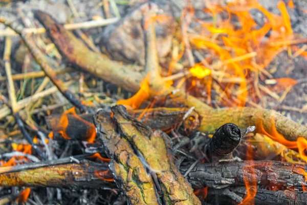 Ognisko Spalanie Drewna Pomarańczowymi Płomieniami Wyspie Harrier Sand Schwanewede Osterholz — Zdjęcie stockowe