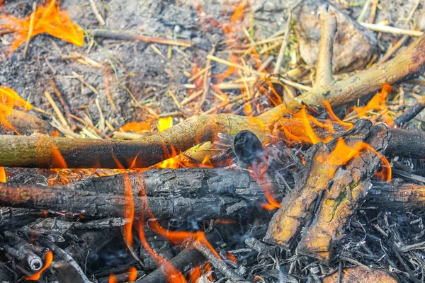 キャンプファイアとオレンジの炎を持つ薪をSchwanewede Osterholzのハリアー サンド島で燃やすニーダーザクセンドイツ — ストック写真