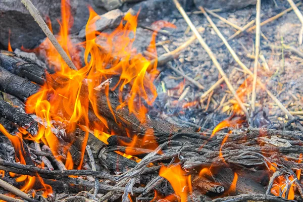 Ognisko Spalanie Drewna Pomarańczowymi Płomieniami Wyspie Harrier Sand Schwanewede Osterholz — Zdjęcie stockowe