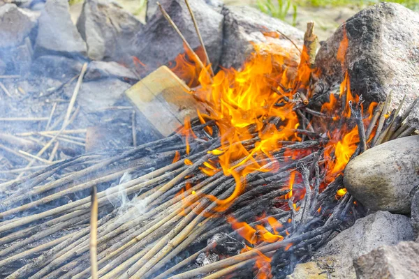 Ognisko Spalanie Drewna Pomarańczowymi Płomieniami Wyspie Harrier Sand Schwanewede Osterholz — Zdjęcie stockowe