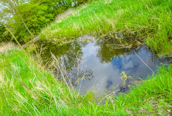 Naturschöner Panoramablick Mit Moorwassersee Flussküste Und Grünen Pflanzen Bäume Bremerhavener — Stockfoto
