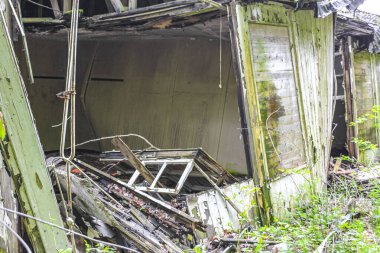 Cuxhaven Aşağı Saksonya Almanya 'sında, Geestland Cuxhaven ormanındaki Drangstedt ormanında, ormandaki yıkılmış eski bir ev..