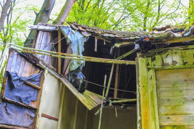 Cuxhaven Aşağı Saksonya Almanya 'sında, Geestland Cuxhaven ormanındaki Drangstedt ormanında, ormandaki yıkılmış eski bir ev..