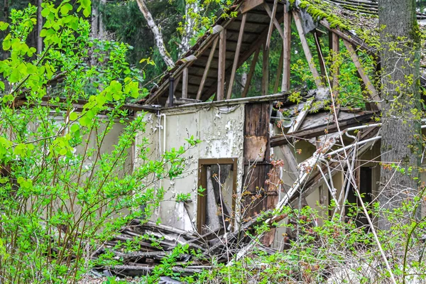 Casa Vieja Destruida Rota Bosque Con Plantas Verdes Árboles Bosque — Foto de Stock