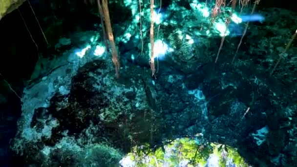 在墨西哥的阿文图拉斯金塔纳罗奥港 令人叹为观止的蓝色绿松石水和石灰石洞穴深坑使泰姬陵泰姬陵生生生不息 — 图库视频影像