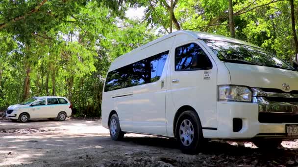 Puerto Aventuras Mexico 2022年2月熱帯メキシコのジャングル植物の木々や自然林のパノラマビューとプエルトアベンチュラでのウォーキングパスで白いバンの車のタクシーメキシコ — ストック動画