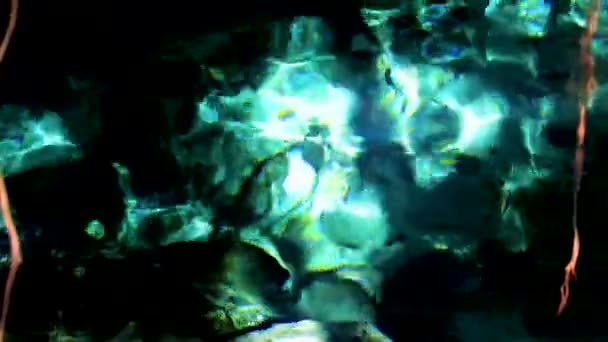 Amazing Blue Turquoise Water Limestone Cave Sinkhole Cenote Tajma Tajmaha — Vídeo de Stock