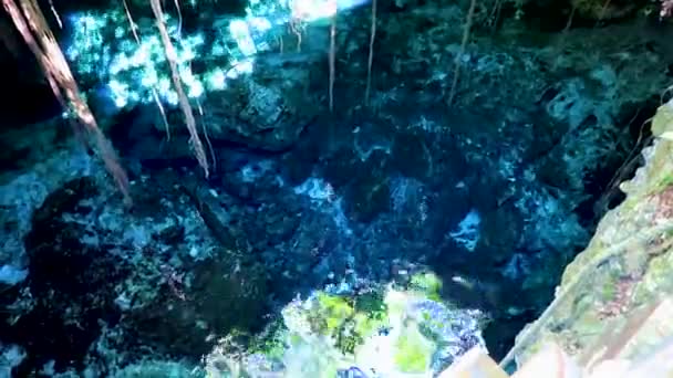 Amazing Blue Turquoise Water Limestone Cave Sinkhole Cenote Tajma Tajmaha — Video Stock