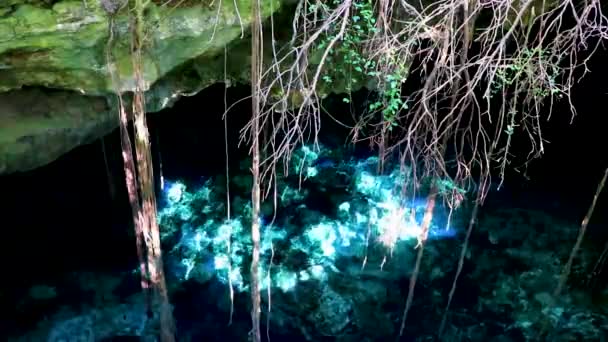 Aventuras Quintana Roo नखड Cenhole Cenote — स्टॉक व्हिडिओ