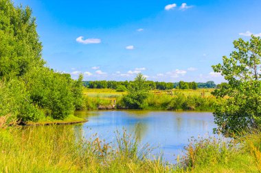 Hechthausen Hemmoor Cuxhaven Aşağı Saksonya Almanya ormanında bataklık bataklık nehir gölü gölü ve yeşil bitki ağaçları ile doğal güzel manzara.