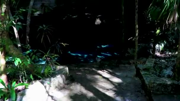 Erstaunlich Blaues Türkisfarbenes Wasser Und Kalksteinhöhle Cenote Tajma Tajmaha Puerto — Stockvideo