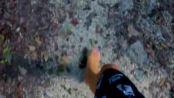 Boso Spacerując Kamienną Ścieżką Żwirową Tropikalnej Dżungli Jaskini Wapiennej Cenote — Wideo stockowe