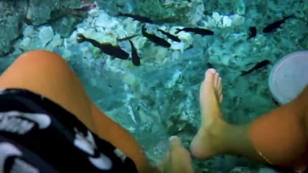 Fish Spa Pedicure Fish Bite Feet Amazing Blue Turquoise Water — Stock Video