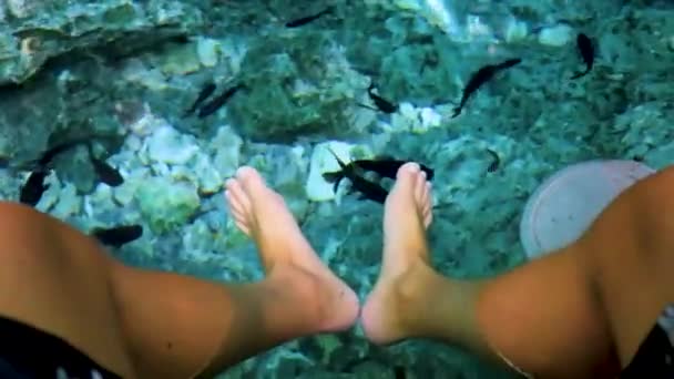 Pescado Spa Pedicura Peces Muerden Los Pies Agua Azul Turquesa — Vídeos de Stock