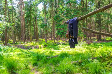 Kuzey Almanya tarla ormanı. Mavi gökyüzü ve doğa manzarası. Aşağı Saksonya Almanya 'sında asılı giysiler ve çantalar..