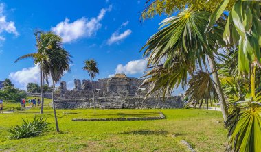 Tulum Meksika 21. Şubat 2022 Antik Tulum, Tulum Meksika 'da tropikal doğal orman palmiyesi ve deniz manzarası üzerindeki kalıntılar ve tapınak kalıntıları ile Maya bölgesini harap etti..