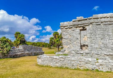Antik Tulum, Tulum Meksika 'daki tropikal doğal orman palmiyesi ve deniz manzarasında tapınak kalıntıları ve eserlerle Maya bölgesini harabeye çeviriyor..