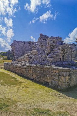 Antik Tulum, Tulum Meksika 'daki tropikal doğal orman palmiyesi ve deniz manzarasında tapınak kalıntıları ve eserlerle Maya bölgesini harabeye çeviriyor..