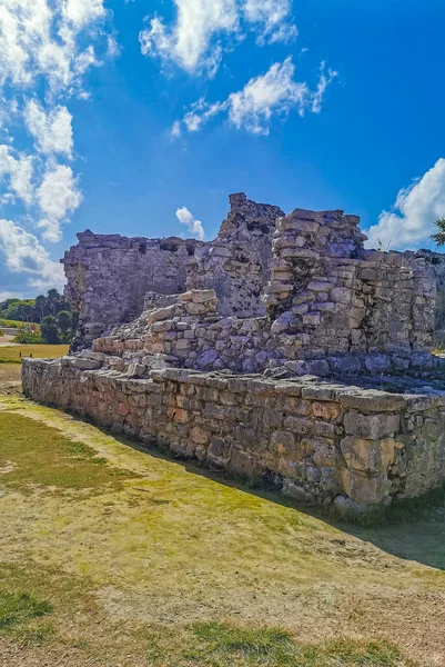 Antik Tulum, Tulum Meksika 'daki tropikal doğal orman palmiyesi ve deniz manzarasında tapınak kalıntıları ve eserlerle Maya bölgesini harabeye çeviriyor..