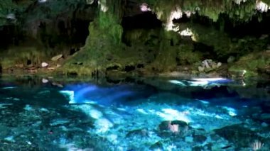 İnanılmaz mavi turkuaz su ve kireçtaşı mağarası çöküntüsü Puerto Aventuras Quintana Roo Mexico 'da Tajma ha Tajmaha' yı sahneledi..