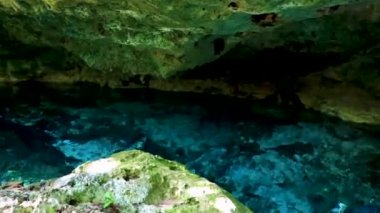 İnanılmaz mavi turkuaz su ve kireçtaşı mağarası çöküntüsü Puerto Aventuras Quintana Roo Mexico 'da Tajma ha Tajmaha' yı sahneledi..