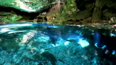 İnanılmaz mavi turkuaz su ve kireçtaşı mağarası çöküntüsü Puerto Aventuras Quintana Roo Mexico 'da Tajma ha Tajmaha' yı sahneledi..