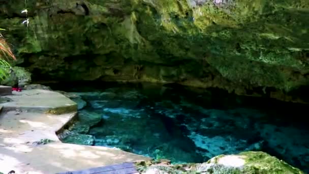 Amazing Blue Turquoise Water Limestone Cave Sinkhole Cenote Tajma Tajmaha — Vídeo de stock