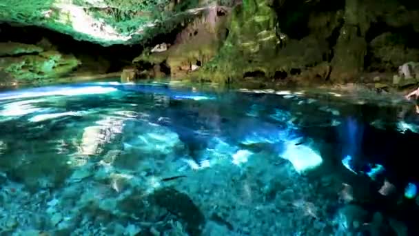 在墨西哥的阿文图拉斯金塔纳罗奥港 令人叹为观止的蓝色绿松石水和石灰石洞穴深坑使泰姬陵泰姬陵生生生不息 — 图库视频影像