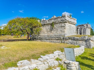 Tulum Meksika 21. Şubat 2022 Antik Tulum, Tulum Meksika 'da tropikal doğal orman palmiyesi ve deniz manzarası üzerindeki kalıntılar ve tapınak kalıntıları ile Maya bölgesini harap etti..