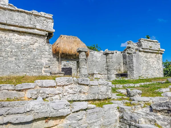 Antik Tulum, Tulum Meksika 'daki tropikal doğal orman palmiyesi ve deniz manzarasında tapınak kalıntıları ve eserlerle Maya bölgesini harabeye çeviriyor..