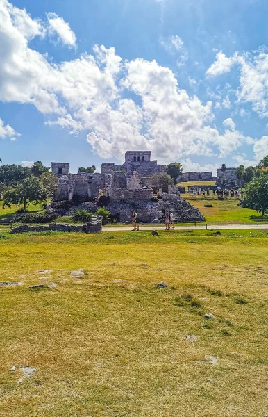 Tulum Meksika 21. Şubat 2022 Antik Tulum, Tulum Meksika 'da tropikal doğal orman palmiyesi ve deniz manzarası üzerindeki kalıntılar ve tapınak kalıntıları ile Maya bölgesini harap etti..