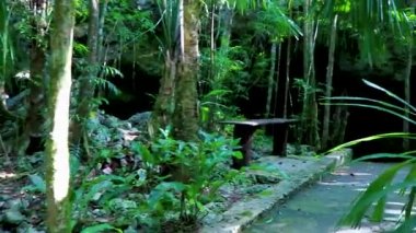 Puerto Aventuras Quintana Roo Meksika 'da muhteşem mavi turkuaz su ve kireçtaşı mağara çukurunda bikinili seksi kadın manken..