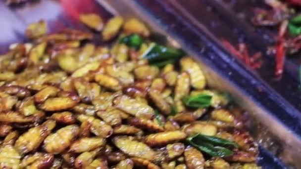 Nechutné Thajské Jídlo Prodej Hmyzu Pro Konzumaci Khaosan Khao San — Stock video