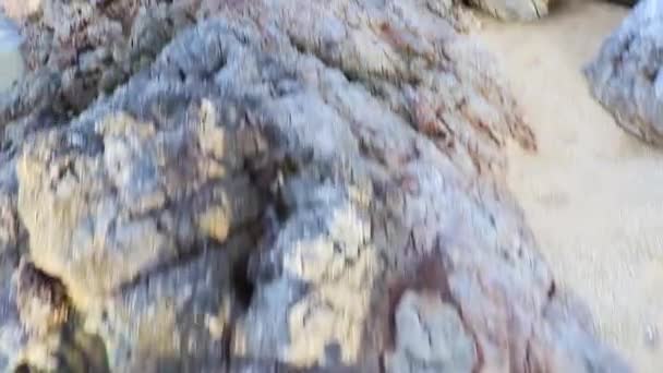 Muhteşem Koh Samui Adası Sahillerinde Kayaların Üzerinde Yürümek Tayland Kayalar — Stok video