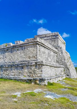 Antik Tulum, Tulum Meksika 'daki tropikal doğal orman palmiyesi ve deniz manzarasında tapınak kalıntıları ve eserlerle Maya bölgesini harabeye çeviriyor..